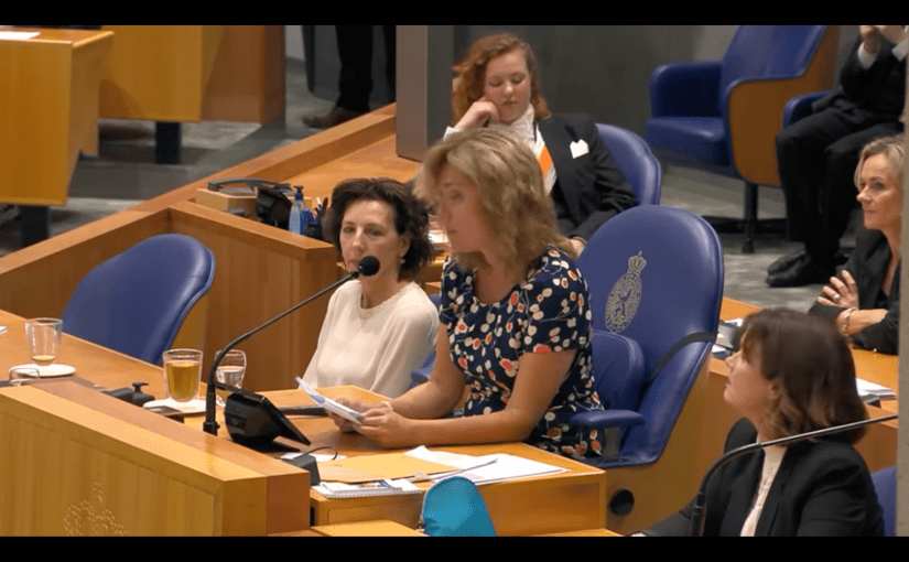 Het madeleinemoment van Vera Bergkamp: aardbeien op brood met een beetje&nbsp;suiker